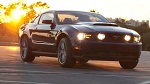 Mustang1