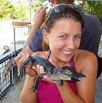 Babyalligator1