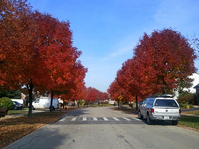 Herbst1